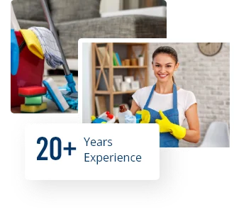 home cleaning cleaner